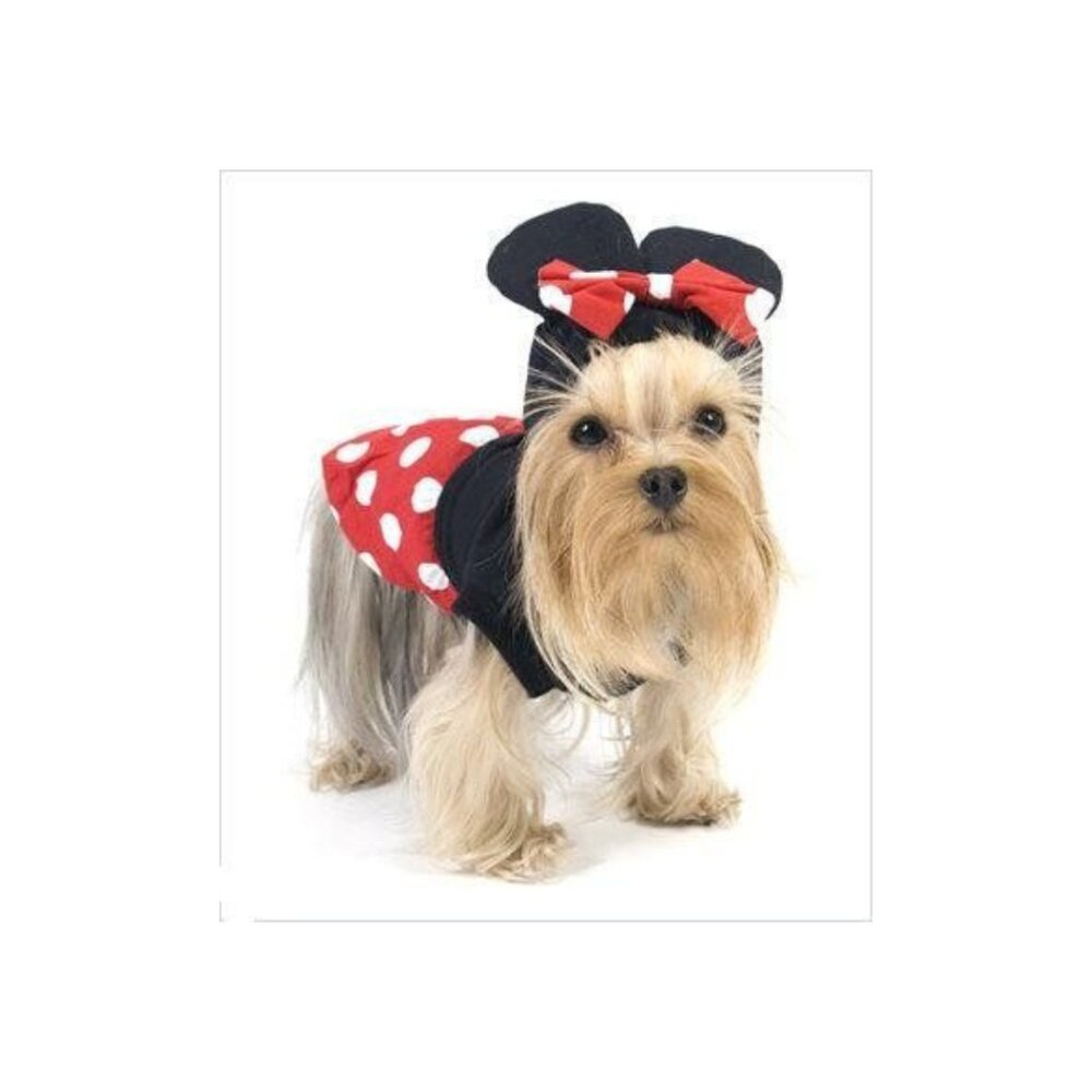 Pampet / Puppe Love Minnie Mouse Pet Dog Costume, New, Sz 4
